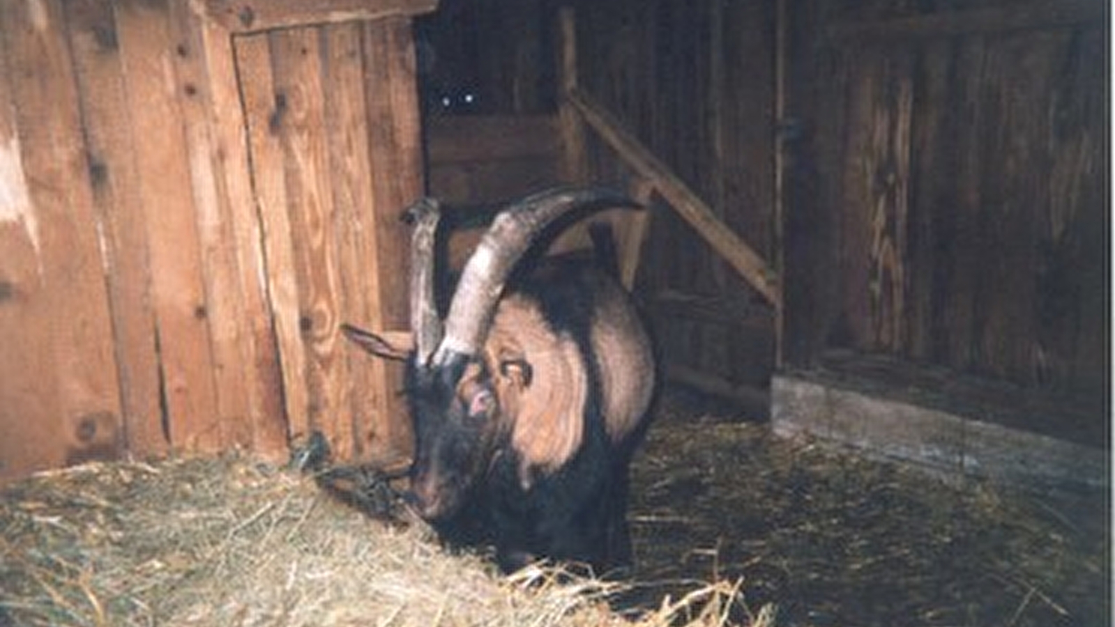 Ferme Desmoutiers et Breton