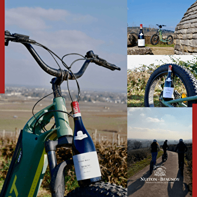 Balade dans le vignoble en trottinette éléctrique