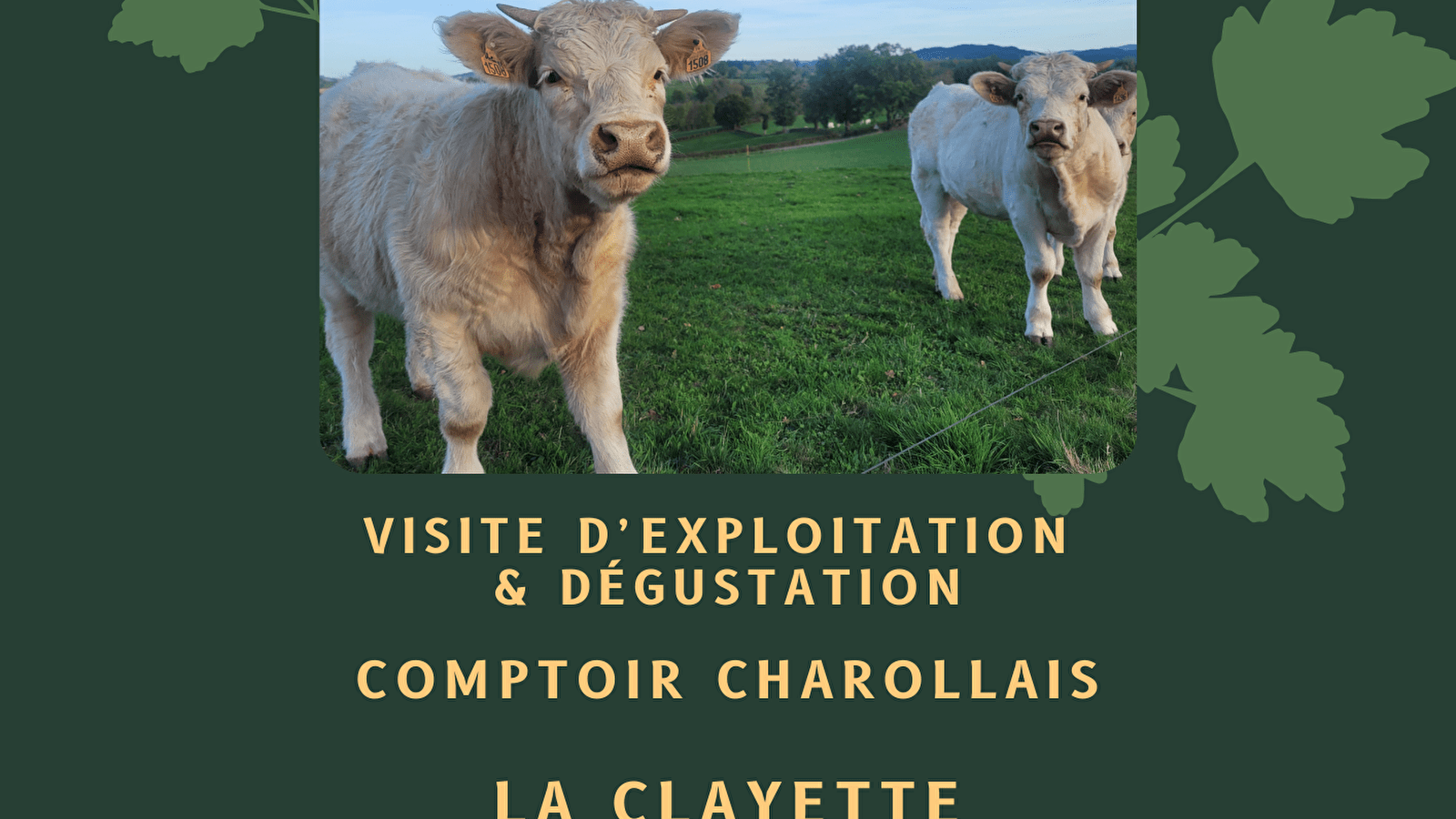 Un Jour Un Producteur : Comptoir du Charollais