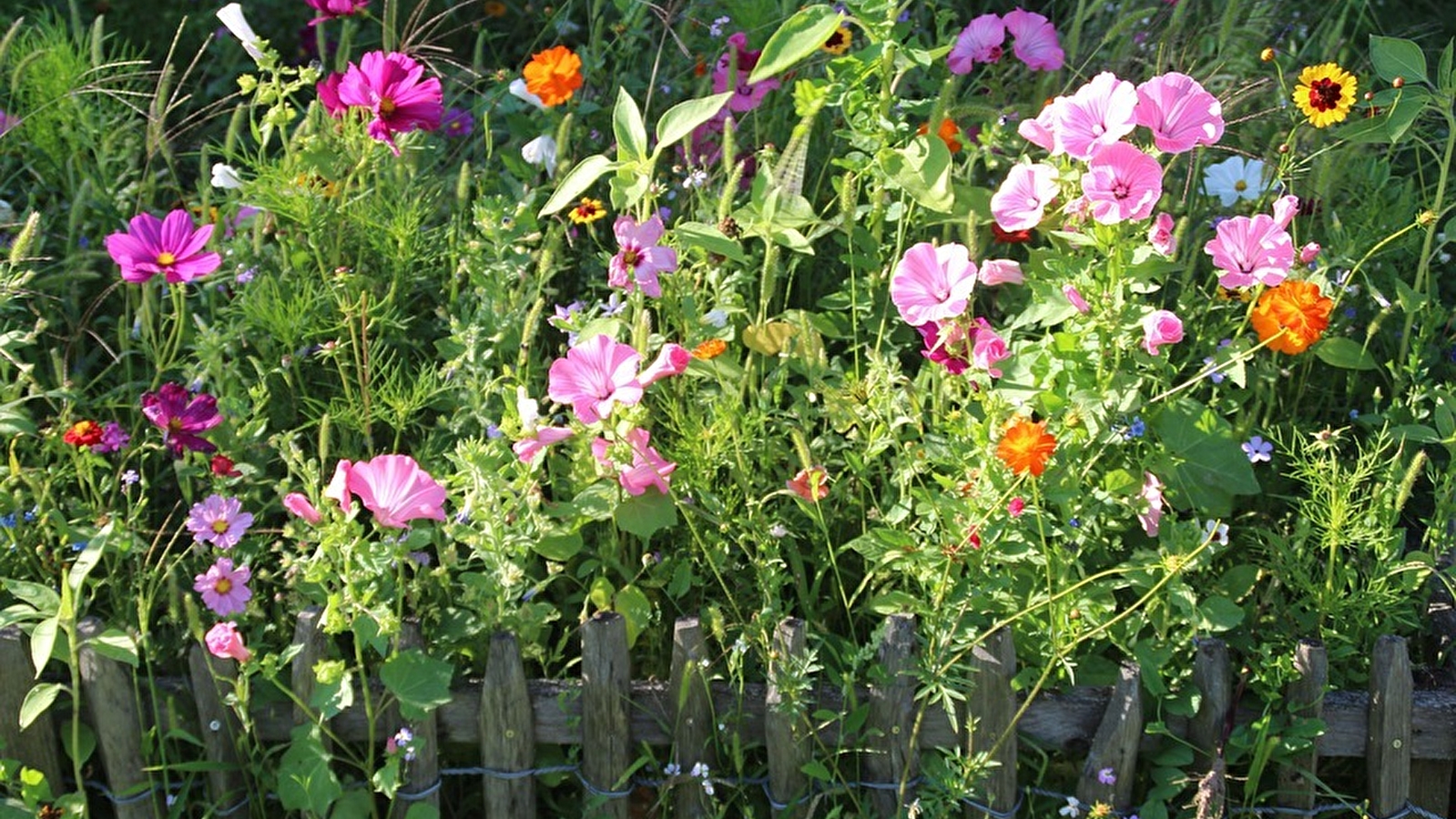 A(musée) vous ! Atelier mon fabuleux jardin