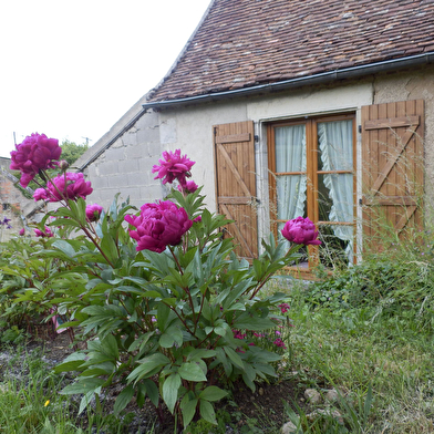 Gîte la Mairie