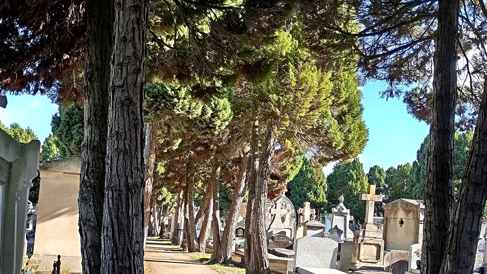 Flash d'Octobre : Le cimetière Saint Amâtre, un chef-d’œuvre du XIXe