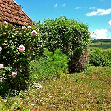 Gite de la Grand Rue