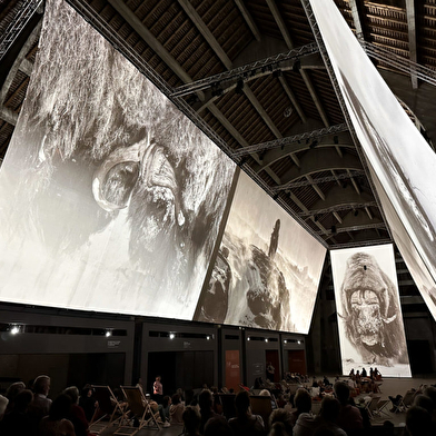 Projection du film: 'Vincent Munier, Des Vosges au Tibet'