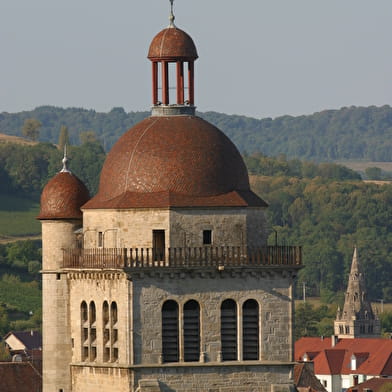 Collégiale Saint Hippolyte