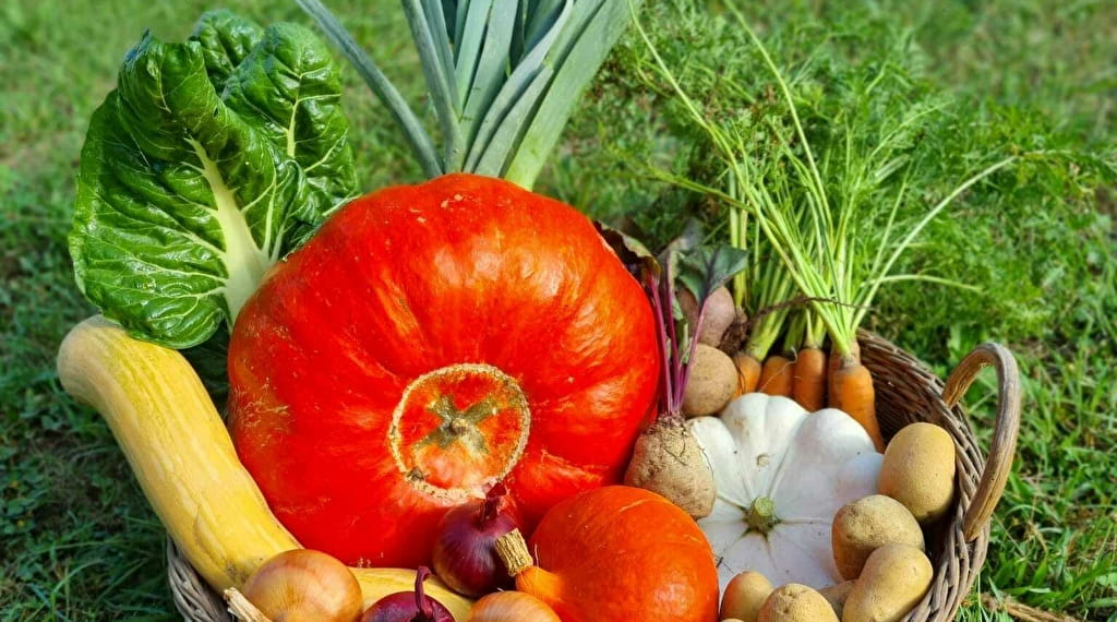 Vente de légumes d