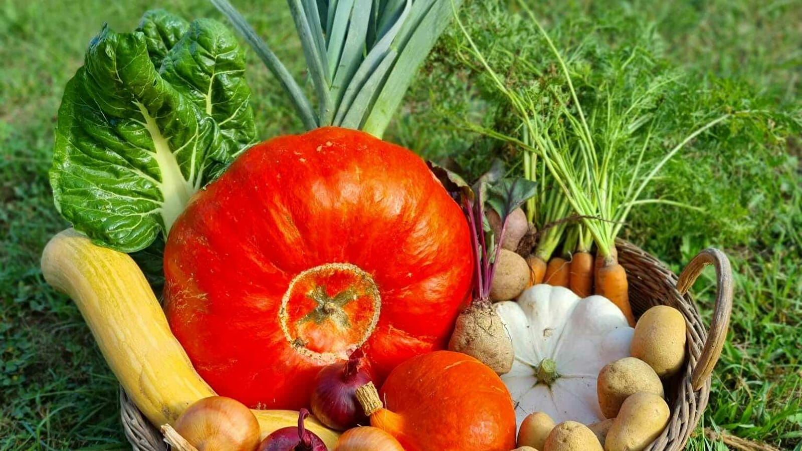 Vente de légumes d'hiver des jardins solidaires