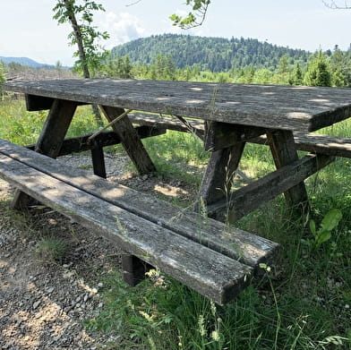 Aire de pique-nique de la Charbonnière à Hostiaz