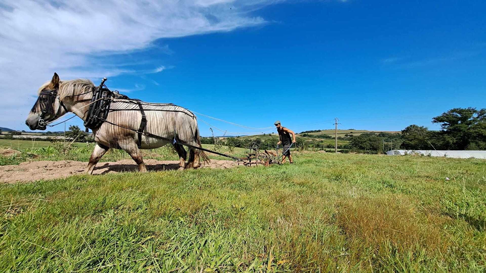 La p'tite ferme de la cour