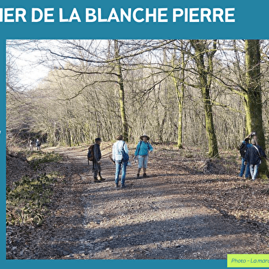 SENTIER DE LA BLANCHE PIERRE 