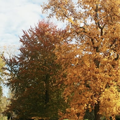 Parc du Château de Combertault