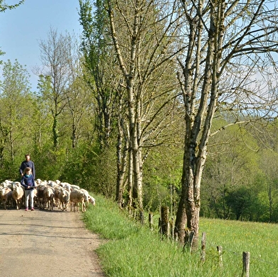 Au chant des Lulus