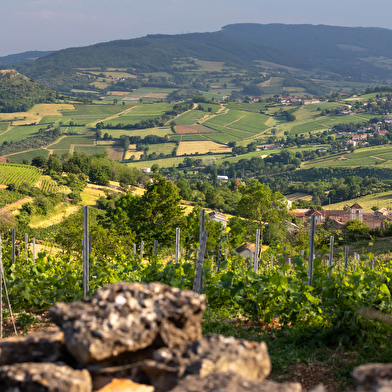 Sur les sentiers du Sud Bourgogne - De Lugny à Milly-Lamartine