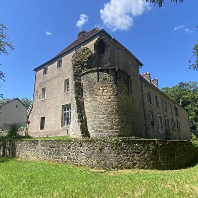 Château de Gevigney - Gîte des Châtelains