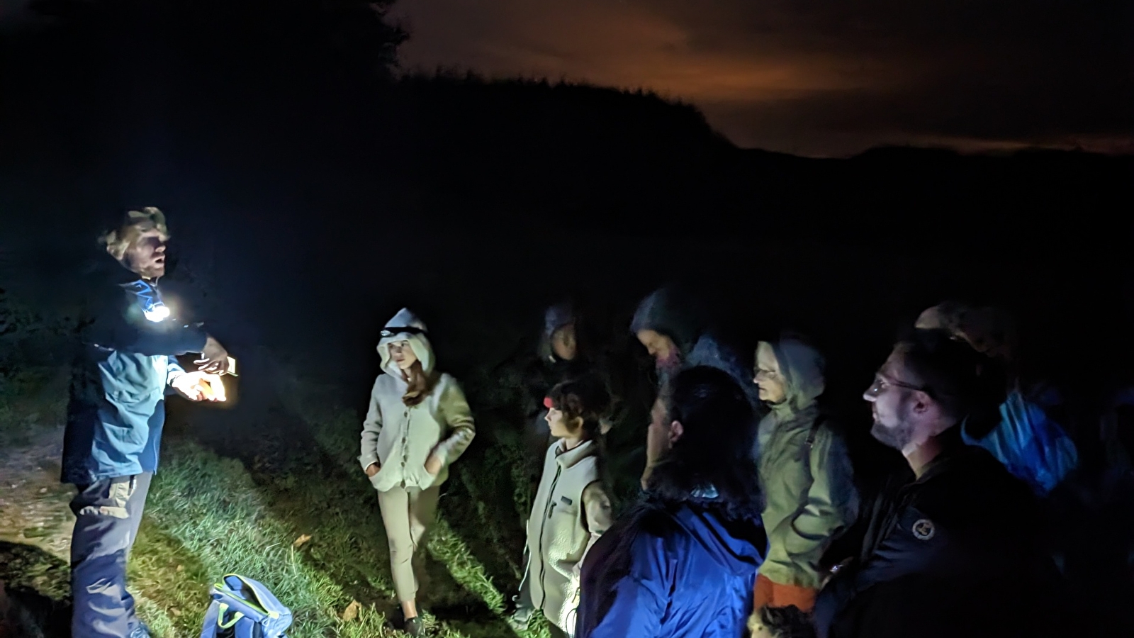 Au cœur de la nuit : la faune de Savilly