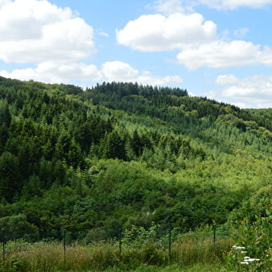 Circuit de la Croix Cavalier