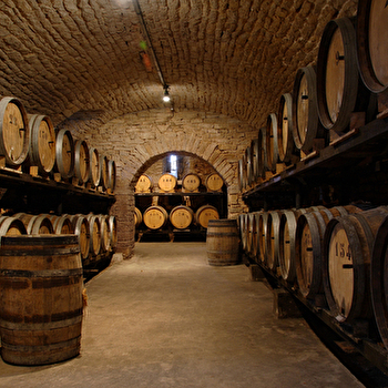 Domaine Berthet-Bondet - CHATEAU-CHALON