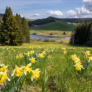 Lac de l'Embouteilleux