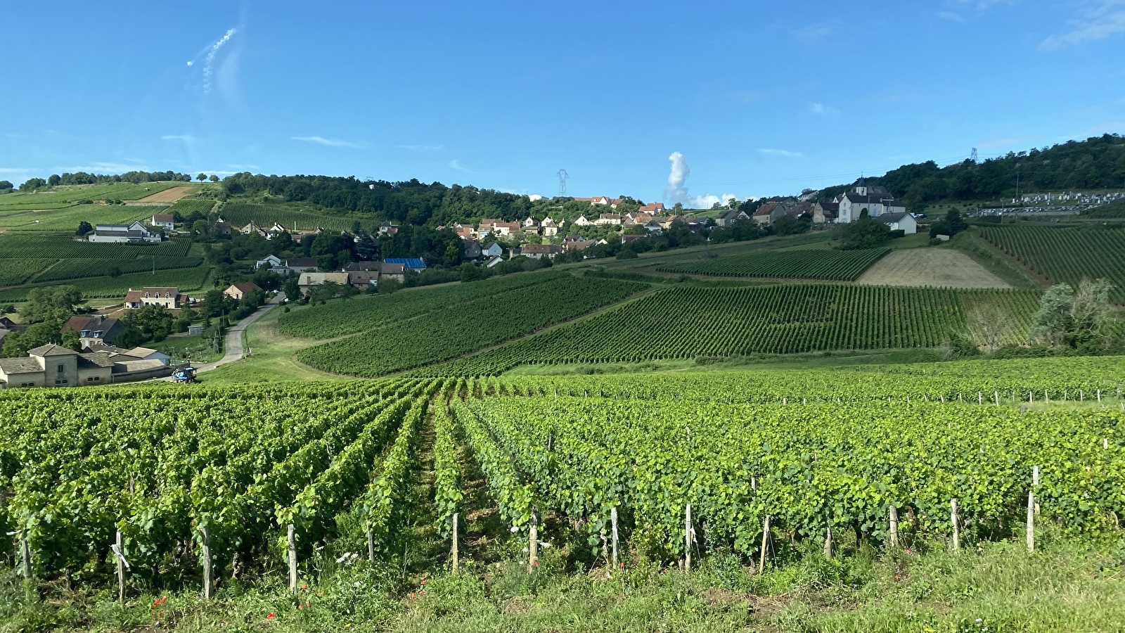 L'écrin des vignes