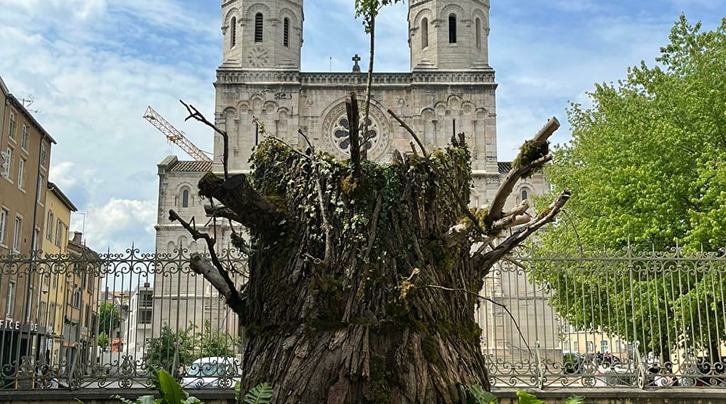 MâconCentré - Visite historique de Mâcon Du 1 mai au 31 oct 2024