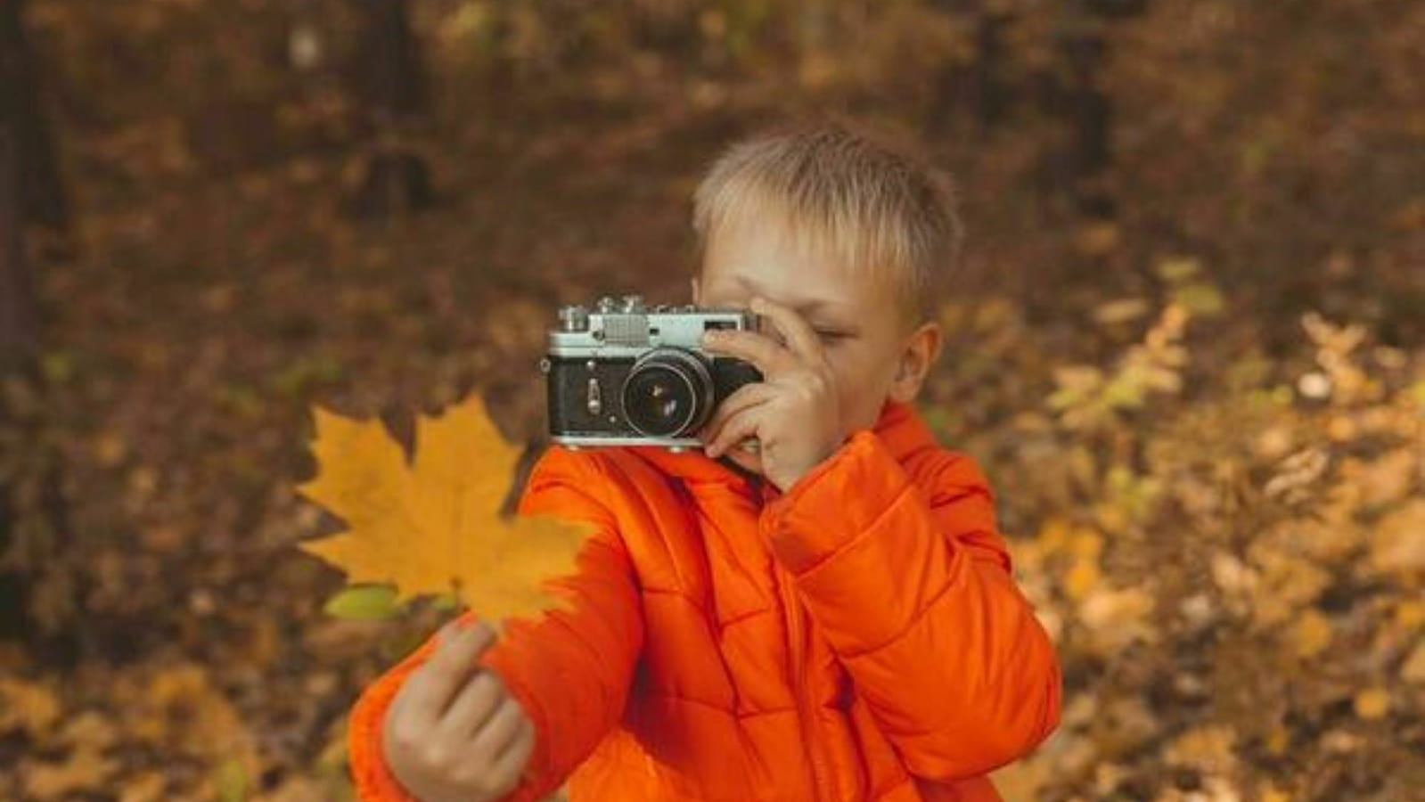 Atelier en famille de l'automne : Apprendre à observer le vivant