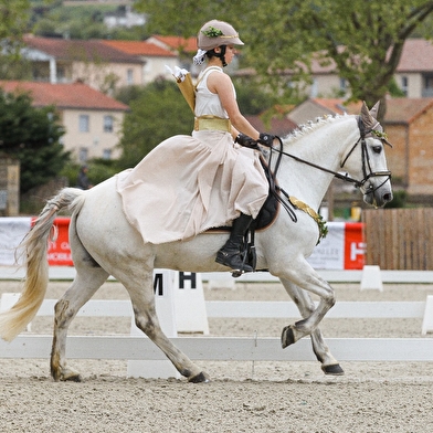 Concours Hippique - Dressage club