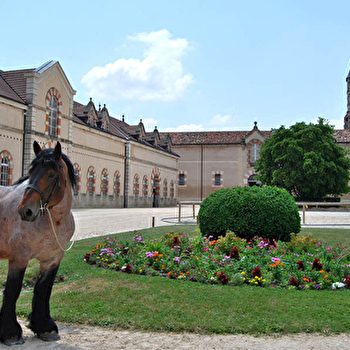 Haras National de Cluny - CLUNY