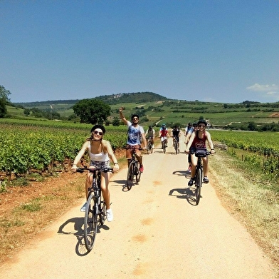 Chateau Vélo Vino en Côte de Nuits