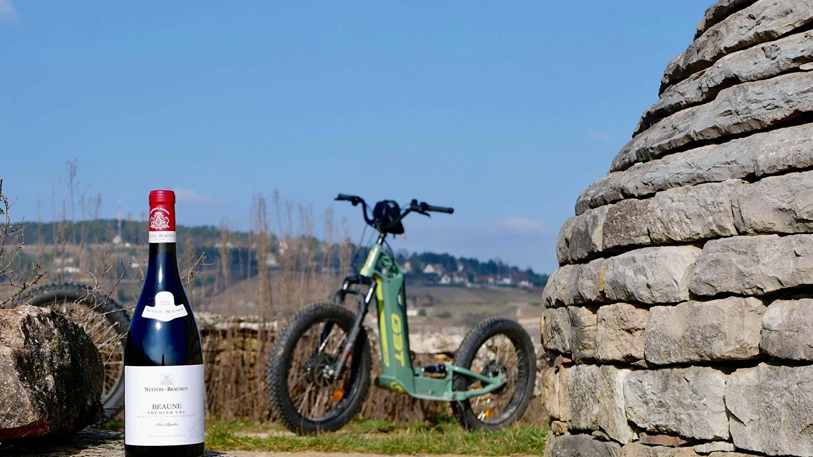 Balade dans le vignoble en trottinette éléctrique