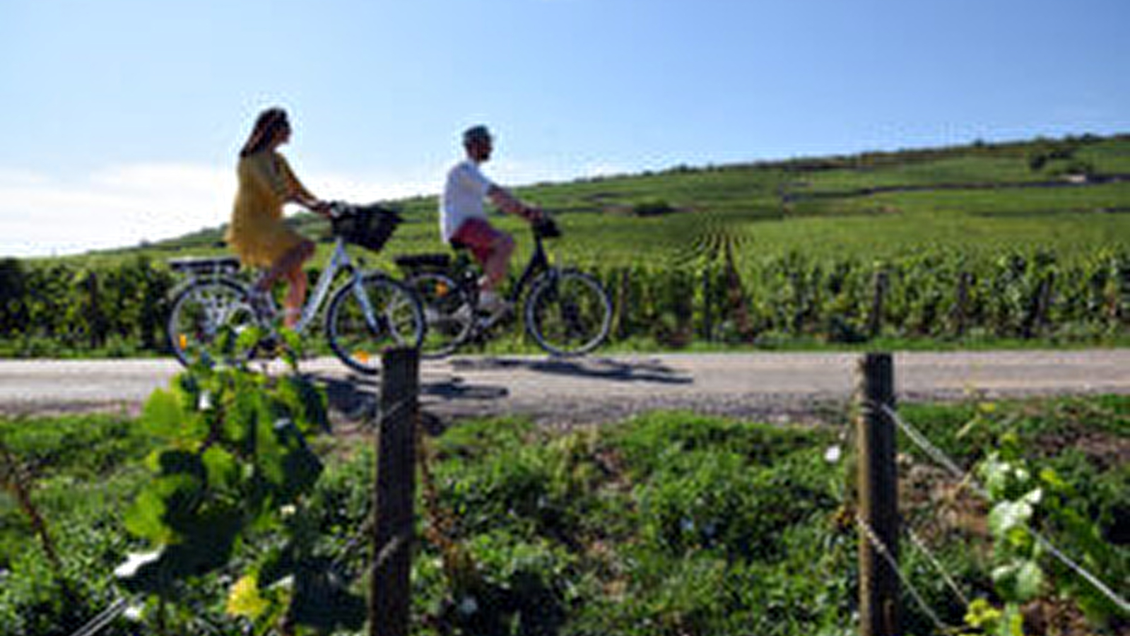 Pass'En Côte de Nuits