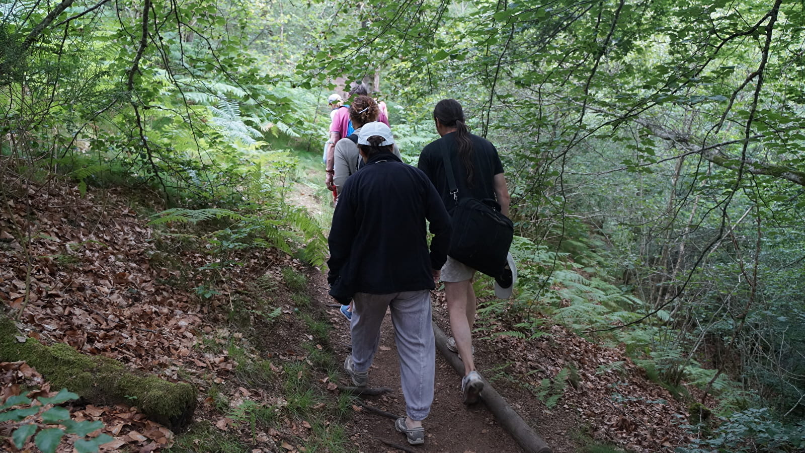 [Balade nature] « L’automne dans le Morvan, la nature en dormance »