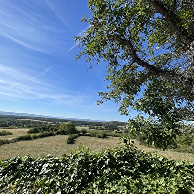 De la forêt au coteau