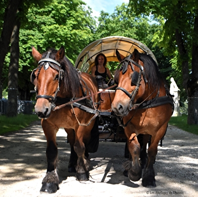 Les attelages de l'Auxois