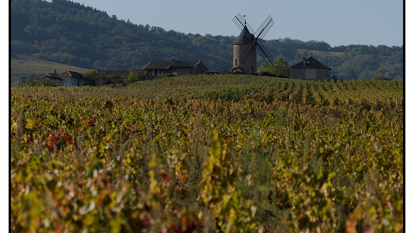 Sous les ailes du moulin