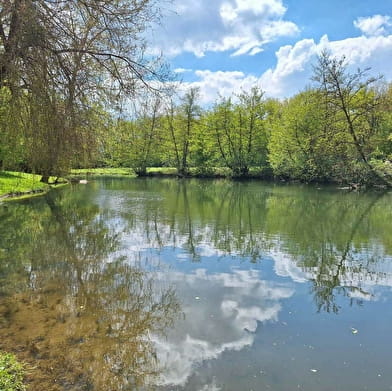  Le Parc du Château - Camping Municipal