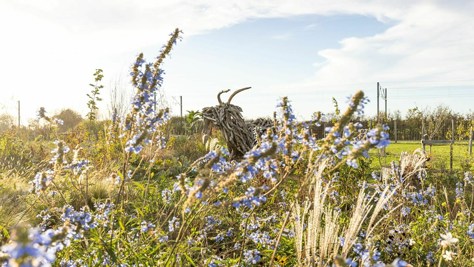 ATELIER : 'LES MAUVAISES HERBES À TABLE !'