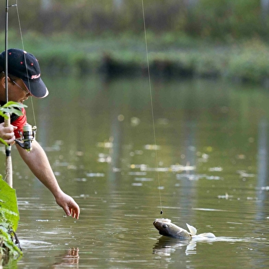 Pêche en rivières et au lac de la Faïencerie 