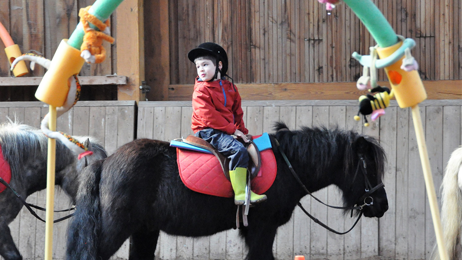 Activités découverte de l'équitation