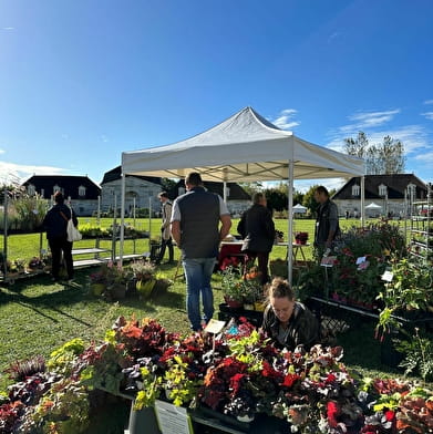 Foire aux plantes