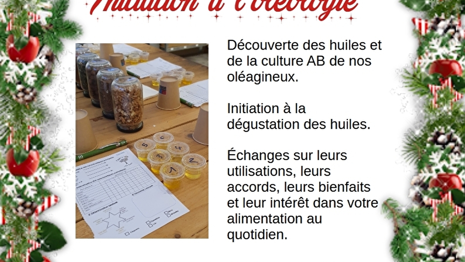 Initiation à l'oléologie