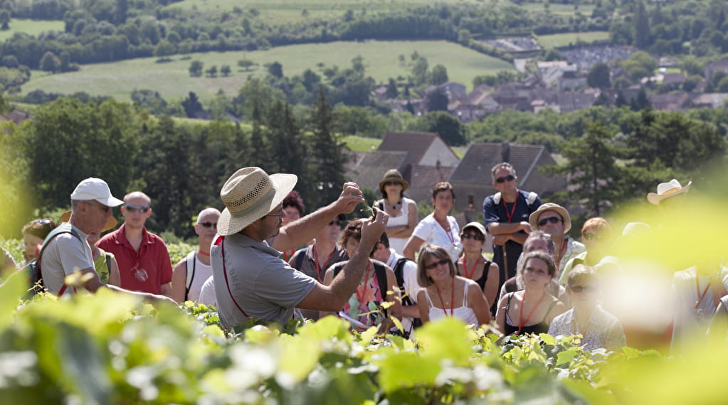 OeNolay tour - Cœur des Hautes Côtes de Beaune