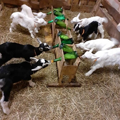 La Ferme du Magny Robert