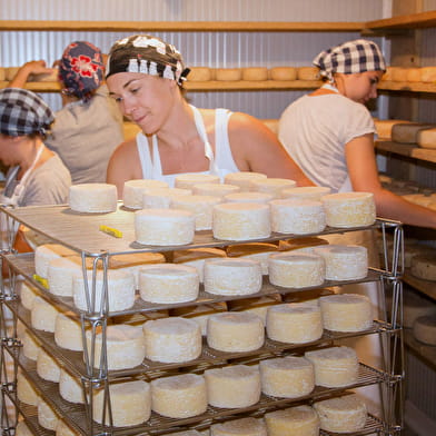 Fantastic Picnic à la ferme 'Les formes de Pierrette'