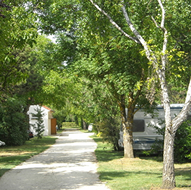 Camping Les Bouleaux