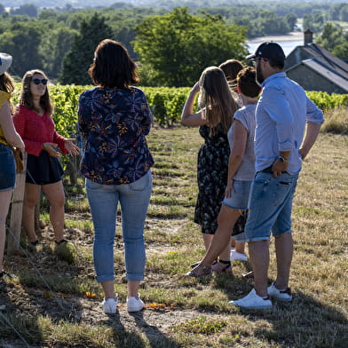 Fantastic Picnic “Le temps des vendanges”