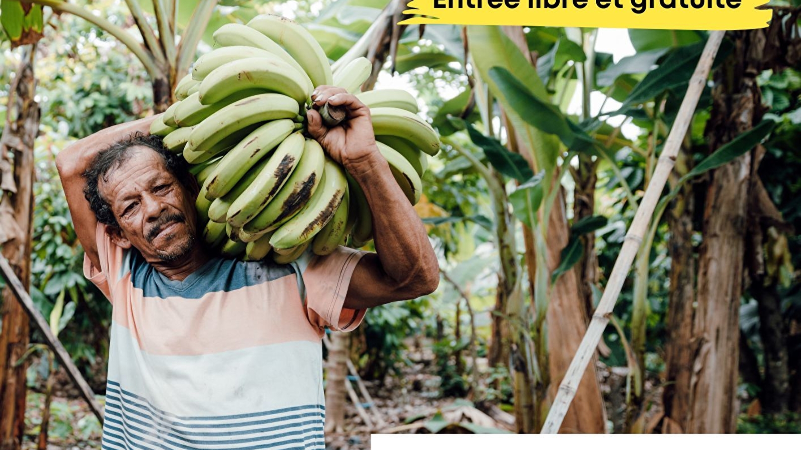 Exposition les maux de notre alimentation 