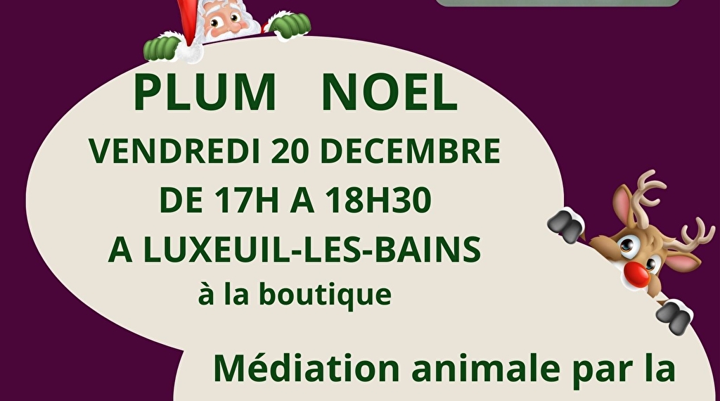 Plum(ailfe) Noël Le 20 déc 2024