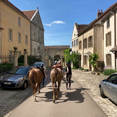 Randonnée équestre épicurienne et sportive 'Les anis de Flavigny'