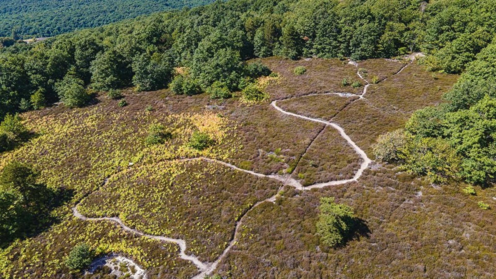 Semaine  des ENS de Saône-et-Loire : la Lande de Nancelle