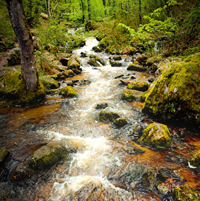 Cascade de Brisecou